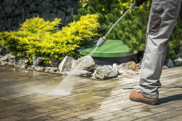 Best Winterizing Services  in Shady Hollow, TX