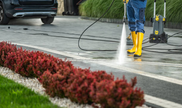 Best Patio and Deck Pressure Washing  in Shady Hollow, TX